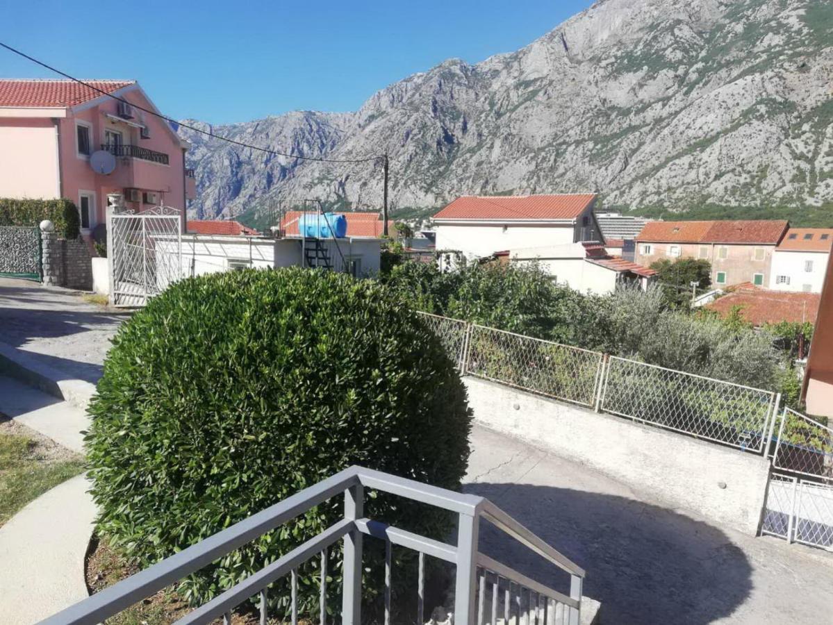 Apartments Alisa Kotor Buitenkant foto